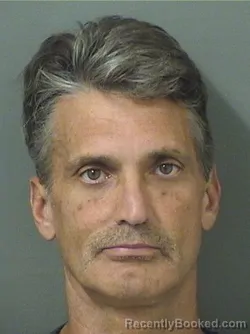 Mugshot of DAVID BROWN