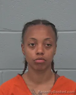 Booking photo from Pasco County, Florida