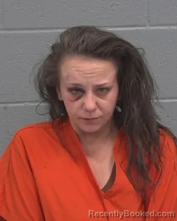 Booking photo from Pasco County, Florida