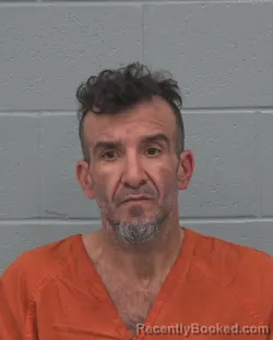 Booking photo from Pasco County, Florida