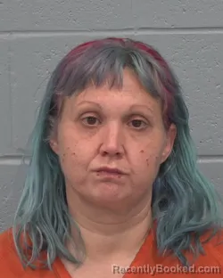 Booking photo from Pasco County, Florida