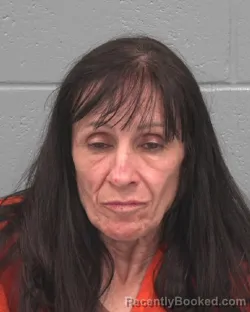 Mugshot of SUSAN MARIE JARRETT