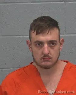 Mugshot of NIKOLAS SPERO MANAVIS