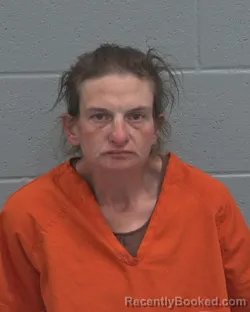 Mugshot of CINDY LOUISE DIEFFENBACHER