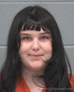 Mugshot of HANNAH MARIE VANEK
