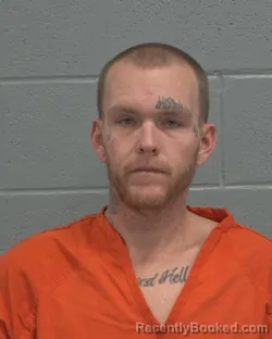 Mugshot of JAMES COLTON DEEMER