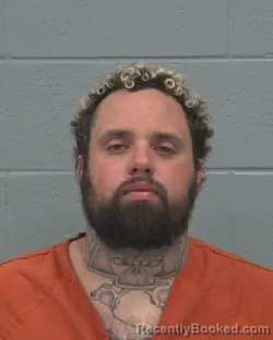 Mugshot of DALLAS JAMES ROUSSEAU