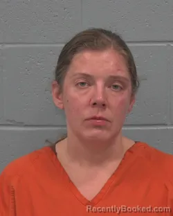 Mugshot of JILLIAN LEE SOPOK
