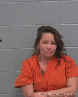 Mugshot of TATIANA ELIZABETH SANTILLAN