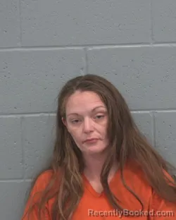 Mugshot of MEGAN M BORCHERS