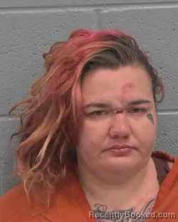 Mugshot of KATIE ELIZABETH SAMICH