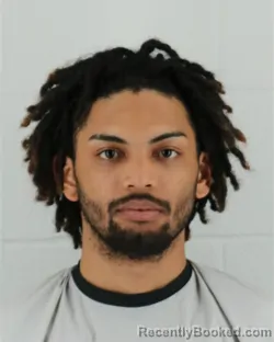 Mugshot of WILLIE LEE COLLINS III
