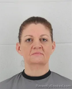Mugshot of MEGAN RENAE HAMILTON