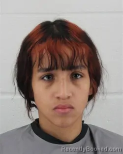 Mugshot of DARIANA ALBERTO-MATUTE