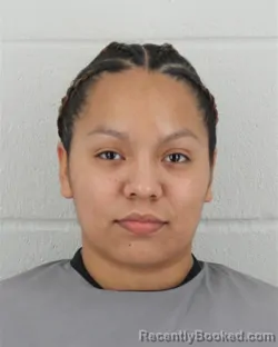 Mugshot of IYANNA LASHAY LINDSEY