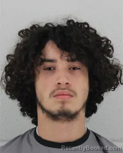 Mugshot of NOWELL REYES-IBARRA