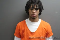 Mugshot of CEDRIC ALEXANDER WEBB