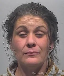 Mugshot of Nicole Alphonsine Elaine Wilson