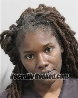 Booking photo from Polk County, Florida