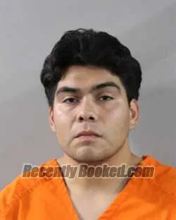 Booking photo from Polk County, Florida