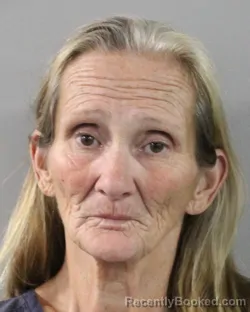 Booking photo from Polk County, Florida