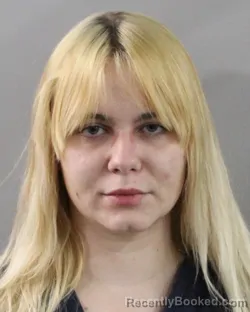 Booking photo from Polk County, Florida