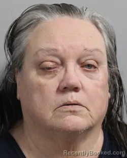 Mugshot of JANET PEREZ