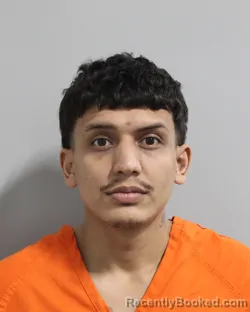 Mugshot of YANDY MADERA