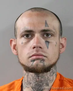 Mugshot of SHAUN BURCHETT