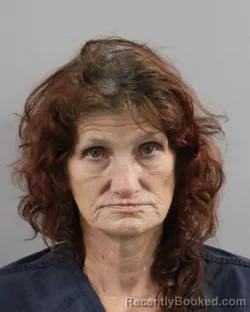 Booking photo from Polk County, Florida