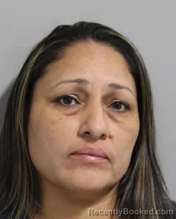 Mugshot of MARIE IBARRA