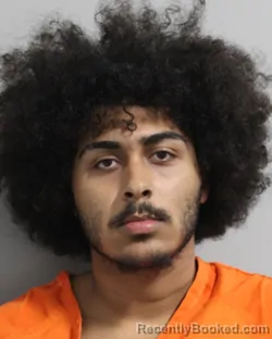 Mugshot of ALEXIS GONZALEZ FRADERA