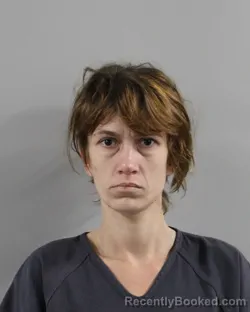 Booking photo from Polk County, Florida
