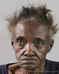 Mugshot of BRENDA WHITE
