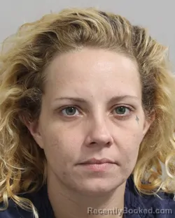 Mugshot of MEGAN AKINS