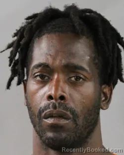 Mugshot of JASMINE ROURK SHEARD