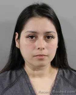 Mugshot of VANESSA ORTIZ