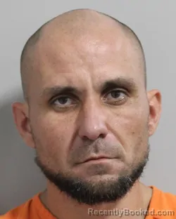 Mugshot of ANDREW MCHAFFIE