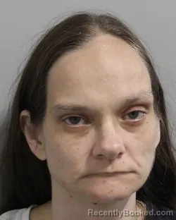 Mugshot of ANN LEE-COLLINS
