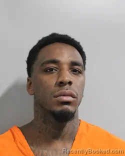Mugshot of TRAVIS PANIER