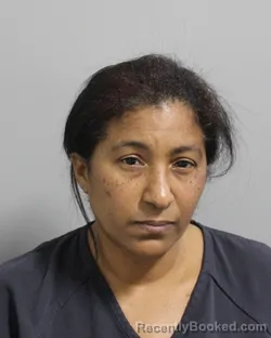 Mugshot of MARILUZ RODRIGUEZ