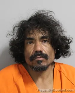 Booking photo from Polk County, Florida