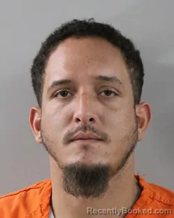 Mugshot of ANDERSON NIEVES CAMPIS