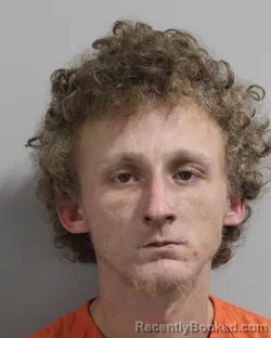 Mugshot of DEVVON WILLIAMS