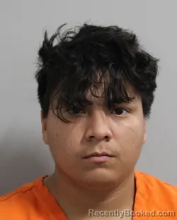 Mugshot of RENE PINEDA MERCADO