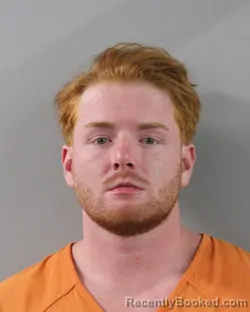 Mugshot of BRAXTON LLEWELYN