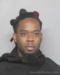 Mugshot of WANDY NOEL