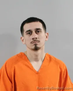 Mugshot of NICOLAS GONZALEZ