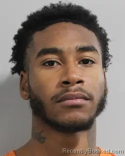 Mugshot of ANDRE FRANCIS