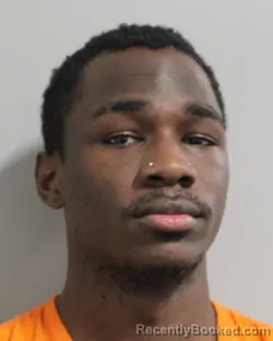 Mugshot of GEVALIUS FAVORS